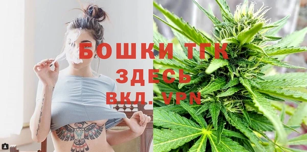 прущие грибы Покачи