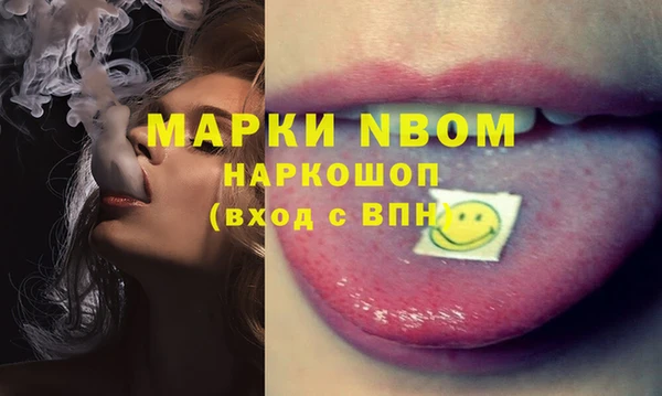 молекула духа Пересвет